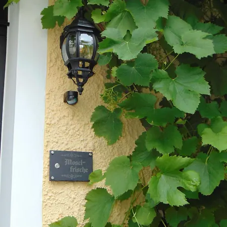 Holiday home Moselfrische *