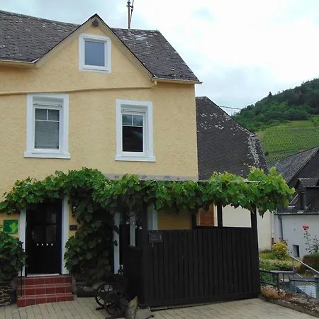 Moselfrische Holiday home