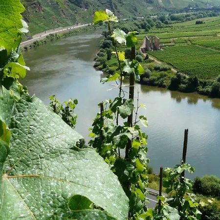 Moselfrische Zell an der Mosel