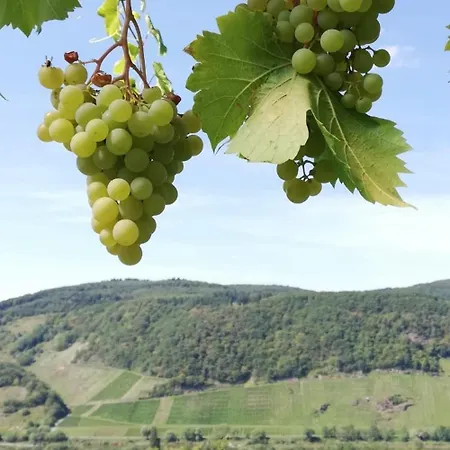 Moselfrische * Zell an der Mosel