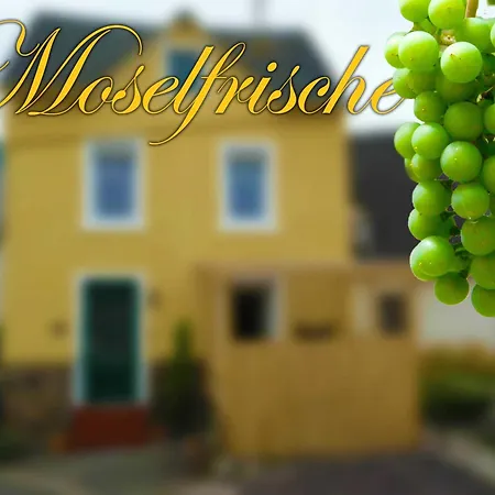 Casa de Férias Moselfrische Zell an der Mosel
