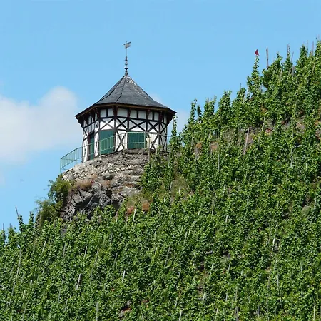 Casa de Férias Moselfrische *