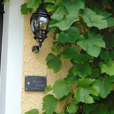 Moselfrische
