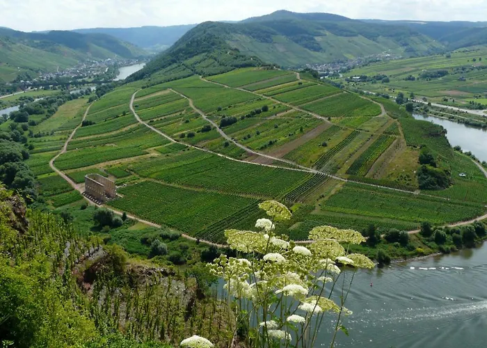 Moselfrische Hébergement de vacances *
