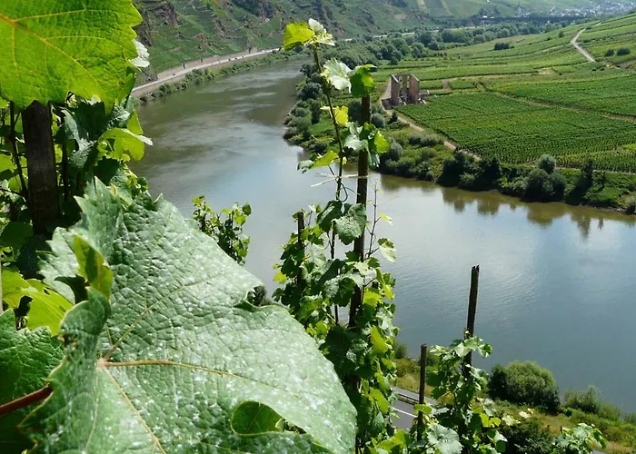 Moselfrische Hébergement de vacances *