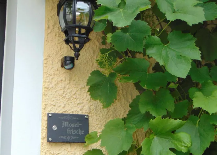 Hébergement de vacances Moselfrische *